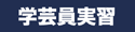 学芸員実習