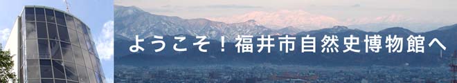 悤IsRjق