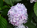 78