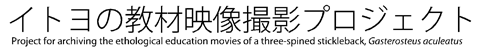 Cg̋މfBevWFNg Project for archiving the ethological education movies of a three-spined stickleback, Gasterosteus aculeatus