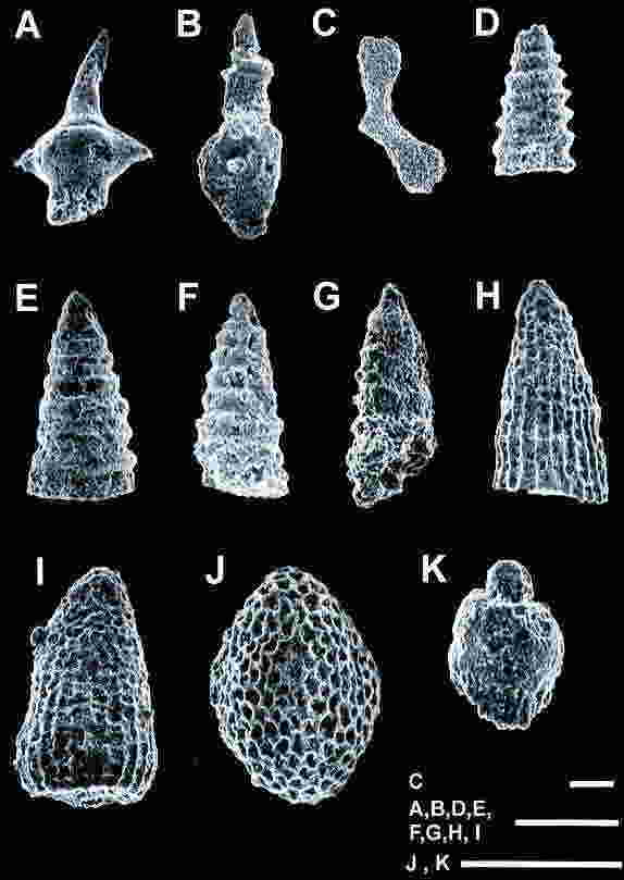 ʏEÌn蓾ꂽU΂̎ʐ^