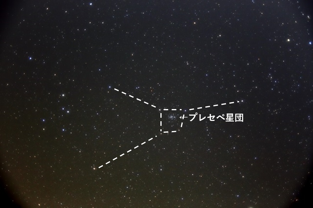 ɍ