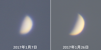 悤