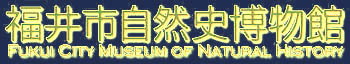 sRj