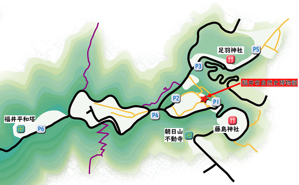 ���ԏ�}�b�v