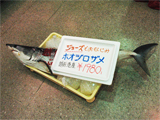 \1980̃zIWUH