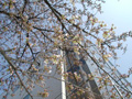 4月8日