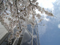 4月13日