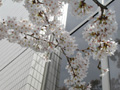 4月13日
