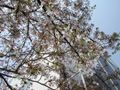 4月19日