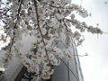4月12日