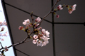 4月7日