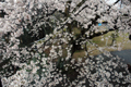 4月12日