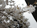 4月13日