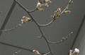 3月27日