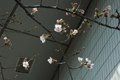 3月28日