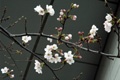 3月29日