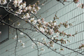3月30日