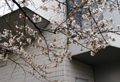 3月31日