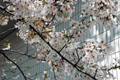 4月10日
