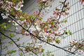 4月13日