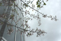 4月14日