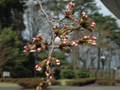3月27日