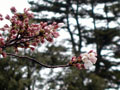 3月29日