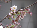 3月31日