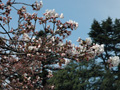 4月2日