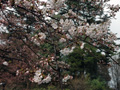 4月3日