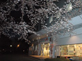 4月4日