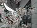 4月8日