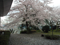 4月10日
