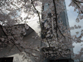 4月12日