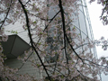 4月14日