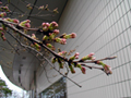 3月22日