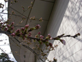 3月23日