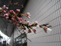 3月27日