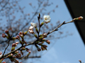 3月28日