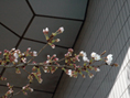 3月29日