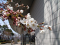3月31日