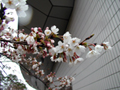 4月1日