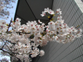 4月8日