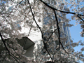 4月9日