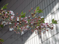 4月12日