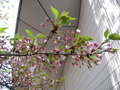 4月13日