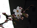 4月2日
