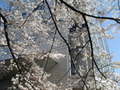 4月8日