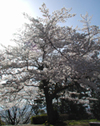 4月10日